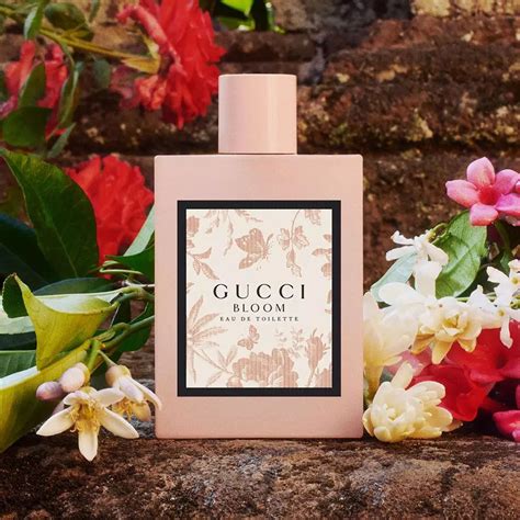 gucci bloom boots 100ml|gucci bloom perfume smell.